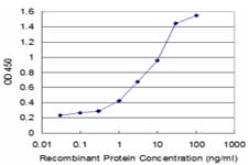Monoclonal Mouse anti-Human BMP5 Antibody (clone 2F12)