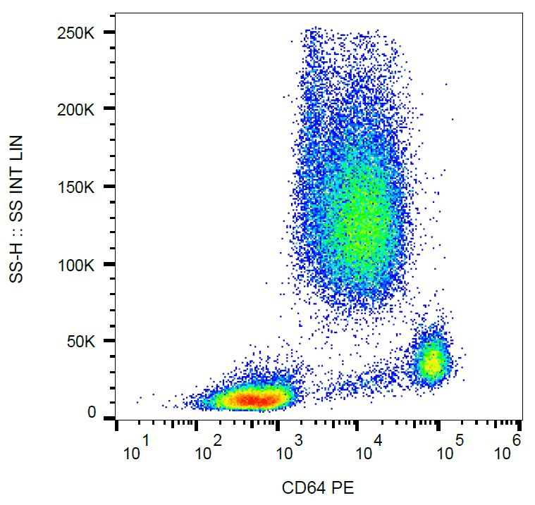 FCGR1A / CD64 Antibody (clone 10.1, PE)