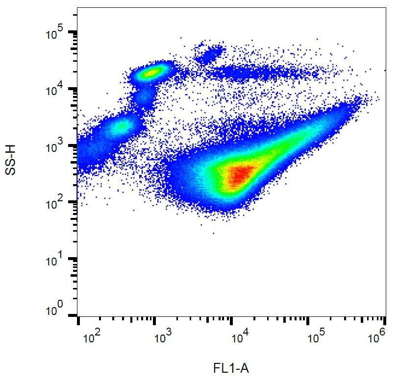 Monoclonal Mouse anti-Human GP1BA / CD42b Antibody (clone AK2, FITC, WB)