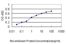 IHC-plus™ Monoclonal Mouse anti-Human NUMA1 / NUMA Antibody (clone 1C5, IHC, WB)
