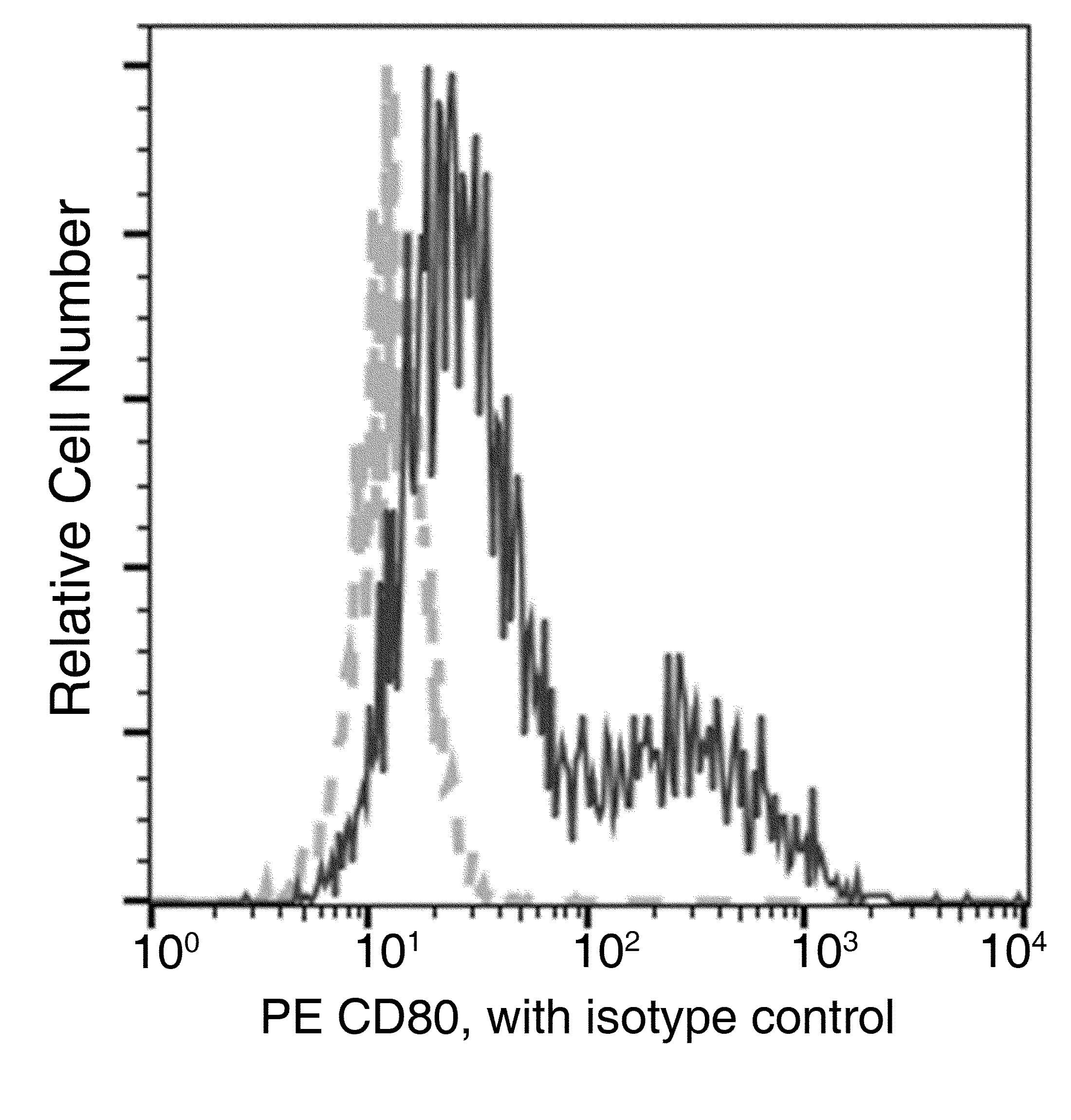 CD80 Antibody (clone 014, PE)
