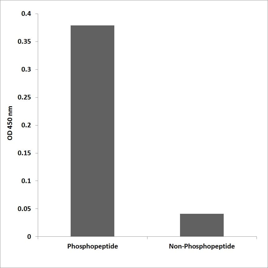 NTRK1 / TrkA Antibody (phospho-Tyr680/Tyr681)