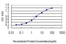 IHC-plus™ Monoclonal Mouse anti-Human Geminin Antibody (clone 1A8, IHC, IF, WB)