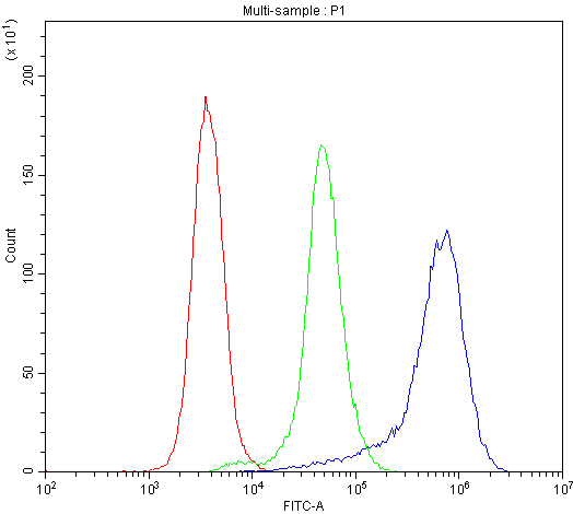 TLR1 Antibody