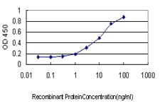 Monoclonal Mouse anti-Human USF2 Antibody (clone 5E9, IHC, IF, WB)