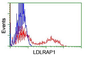 ARH / LDLRAP1 Antibody (clone OTI4G5, Carrier-free)