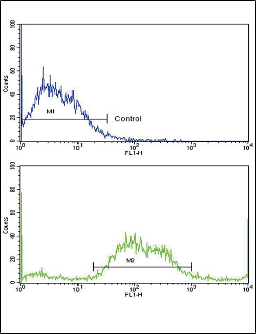 IHC-plus™ MICA Antibody (aa68-97)