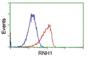 RNH1 Antibody (clone OTI3F11)