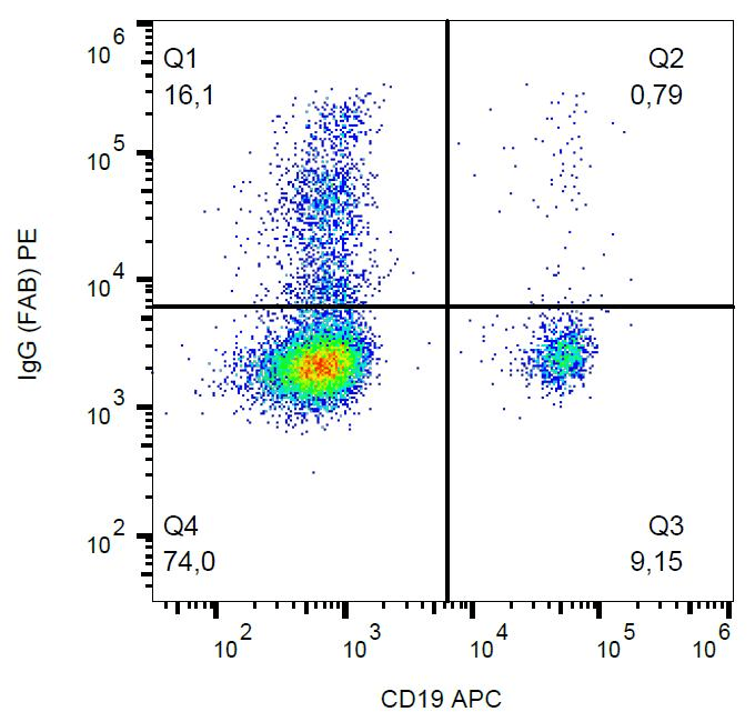 Mouse Anti-Human IgG Fab Secondary Antibody (clone 4A11, PE)