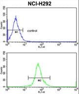 ERP29 Antibody (aa151-179)