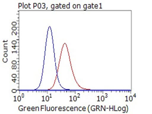 CD80 Antibody (clone OTI11G5)
