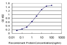 SIM2 Antibody (clone 3E6)