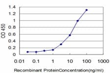 IFI16 Antibody (clone 5C10)