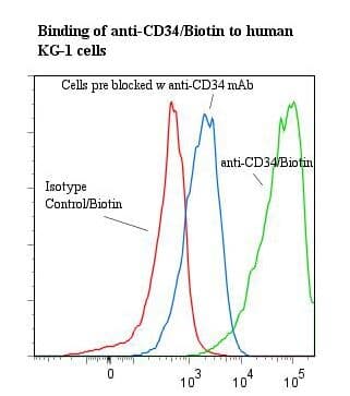 CD34 Antibody (clone 43A1, Biotin)