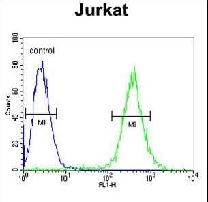 GLRX5 / Glutaredoxin 5 Antibody (aa129-157)