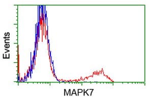 MAPK12 / ERK6 / SAPK3 Antibody (clone OTI4D6)