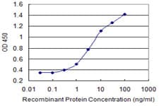 ENPP3 / CD203c Antibody (clone 1G11)