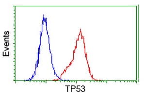 TP53 / p53 Antibody (clone OTI2F7)