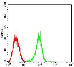 FCGRT / FCRN Antibody (clone 5F3D1)