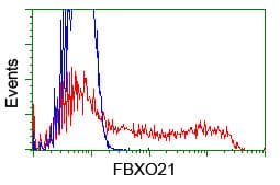 FBXO21 Antibody (clone OTI4G5)