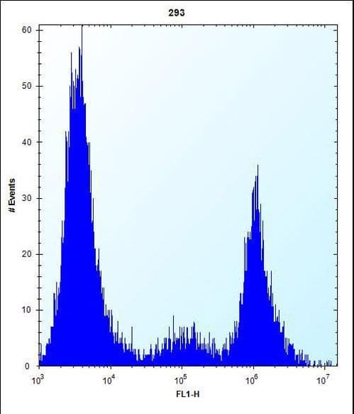 CYP-M / CYP20A1 Antibody (aa221-250)