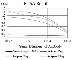 G6PD Antibody (clone 5E+12)