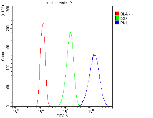 Polyclonal Rabbit anti-Human PML Antibody (IHC, WB)
