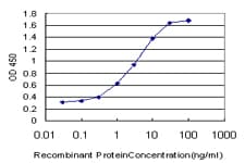 RASGRP4 Antibody (clone 6D3)