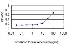 HHIP / HIP Antibody (clone 5D11)