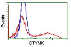 Thymidylate Kinase Antibody (clone OTI2B1, Carrier-free)