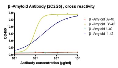 Beta Amyloid 1-42 Antibody