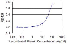 ZNF157 Antibody (clone 3G3)