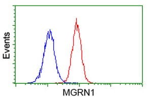 MGRN1 Antibody (clone OTI3C3)