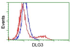 DLG3 / SAP102 Antibody (clone OTI3F2, Carrier-free)