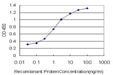 GAS2 Antibody (clone 4E11)