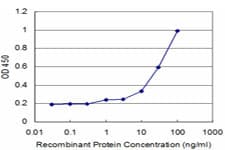 Monoclonal Mouse anti-Human CASP3 / Caspase 3 Antibody (clone 4D3)