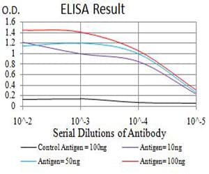 Monoclonal Mouse anti-Human ATG3 Antibody (clone 7A1D1, IHC, WB)