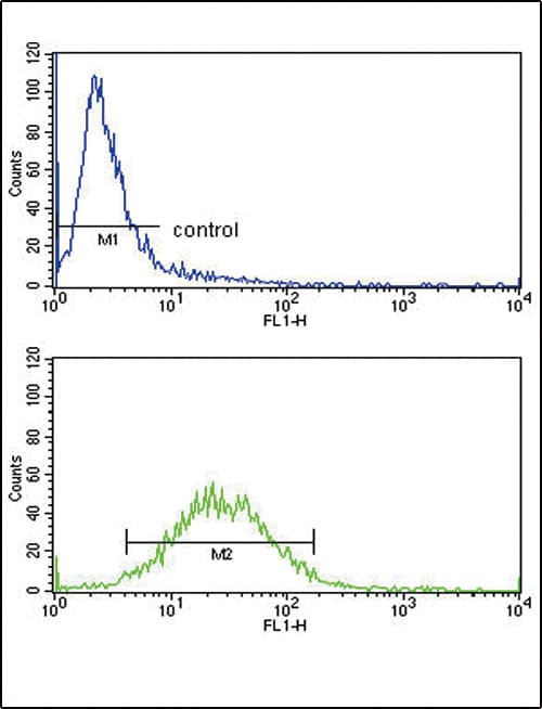 Polyclonal Rabbit anti-Human CSF3R / CD114 Antibody (aa252-280, IHC, WB)