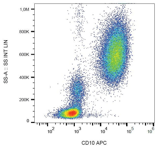 Monoclonal Mouse anti-Human MME / CD10 Antibody (clone MEM-78, APC)