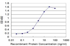 Securin / PTTG1 Antibody (clone 2C3)