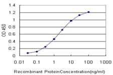 Monoclonal Mouse anti-Human Band 4.1 / EPB41 Antibody (clone 3D9, IF, WB)