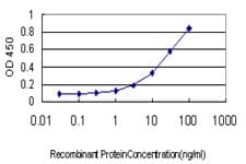 ADRA1A Antibody (clone 4C7)