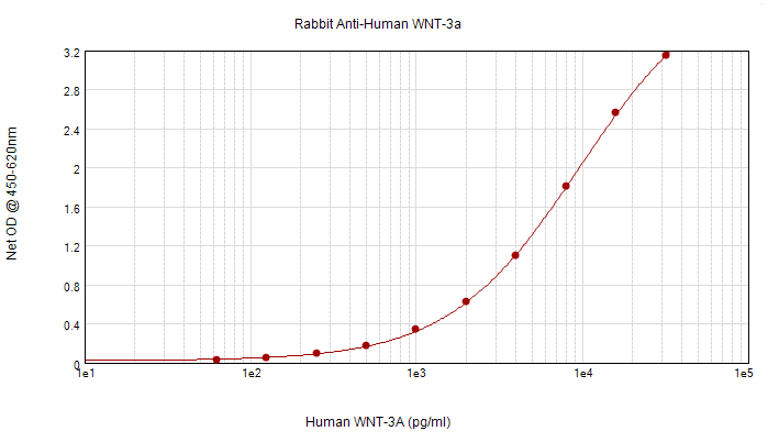 IHC-plus™ WNT3A Antibody