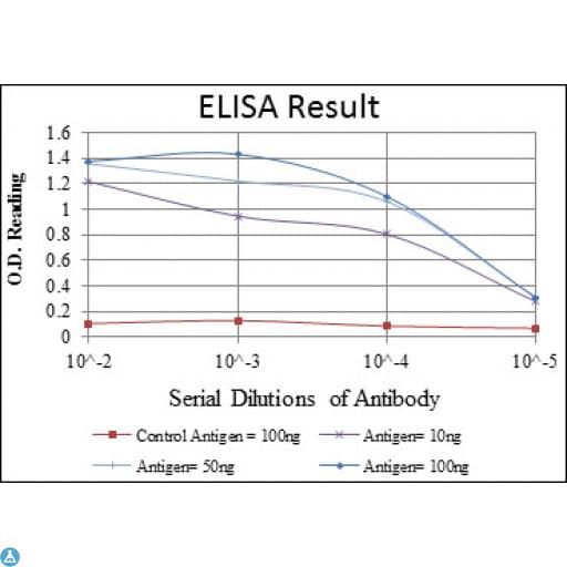 FGG / Fibrinogen Gamma Antibody