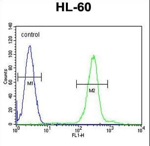 PLA2G2C Antibody (aa113-141)