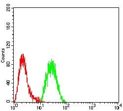 EZH1 / ENX-2 Antibody (clone 3B6B9)