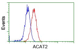 ACAT2 Antibody (clone OTI5F7)