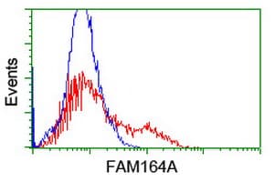 FAM164A / CGI-62 Antibody (clone OTI2D1, Carrier-free)