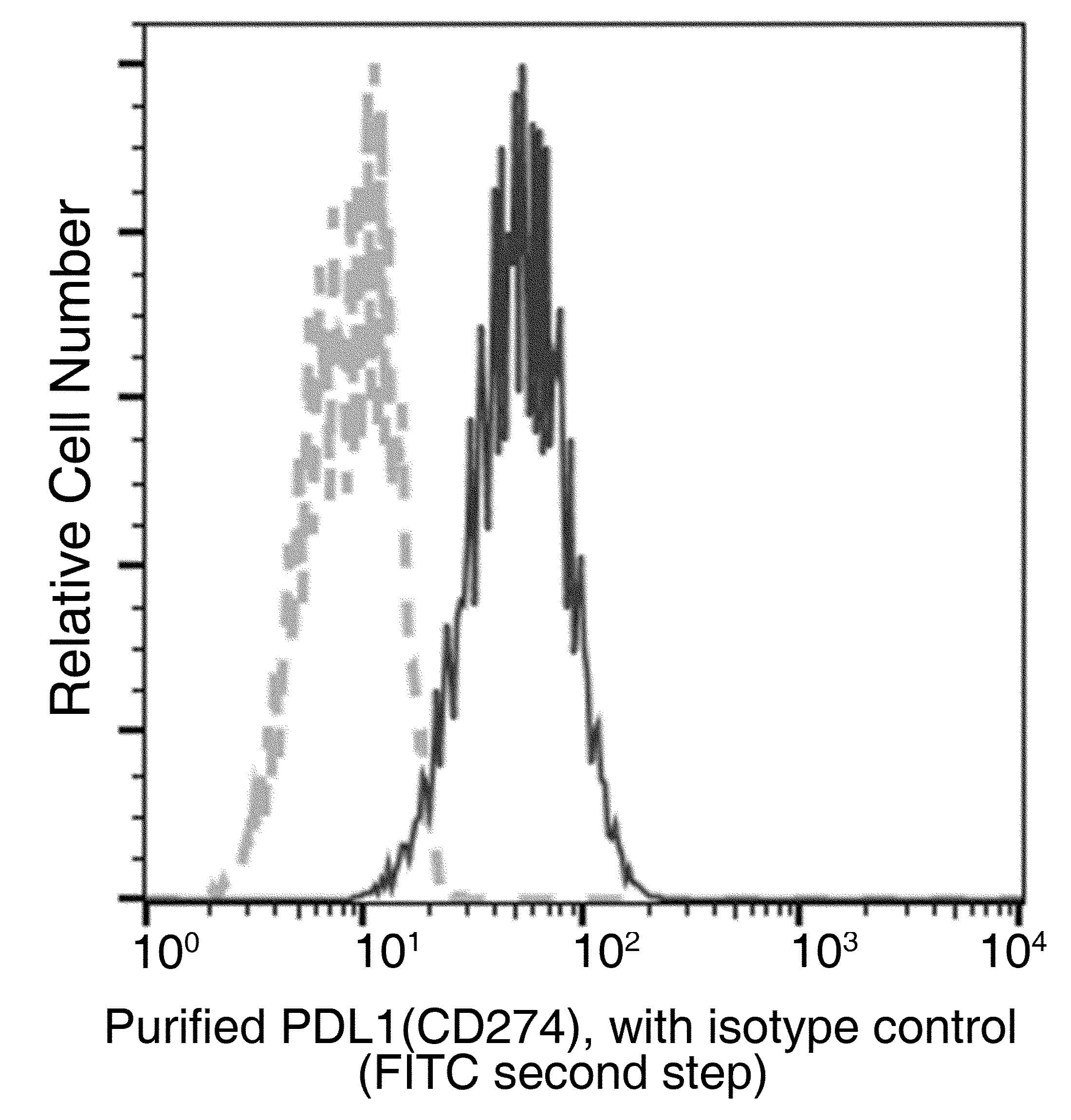 CD274 / B7-H1 / PD-L1 Antibody (clone 312, Preservative Free)