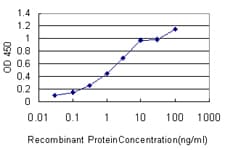 FGF12 Antibody (clone 1D9)